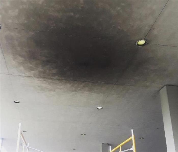 dirty concrete ceiling