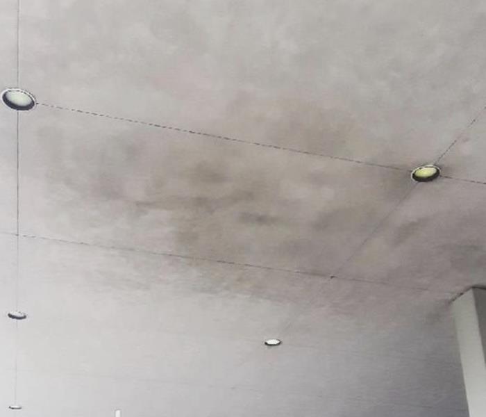 clean concrete ceiling